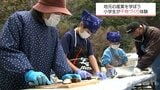 アオアジ約200匹を背開きに　延岡市の小学生が魚の干物づくり体験|TBS NEWS DIG