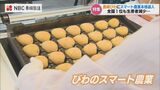 スマート農業で苦境を乗り切れ 長崎特産の”びわ”農家の挑戦 | 長崎のニュース | 天気 | NBC長崎放送