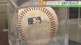 大谷翔平選手のボールは330万円！日本人メジャーリーガー＆WBC公式グッズショップ期間限定オープン　福島・郡山市|TBS NEWS DIG
