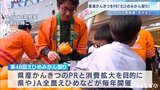 「えひめみかん祭り」始まる  柑橘23種類、約200点展示販売  18日も開催　|　愛媛のニュース - Nスタえひめ｜あいテレビは6チャンネル