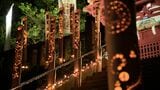 「夜の神社をなかなか見る機会ない」久能山東照宮で夜の特別拝観"天下泰平の竹あかり" 国宝などのライトアップも=静岡市 | 静岡のニュース | SBSNEWS | 静岡放送