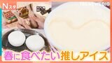 「春に食べたいアイス」を100人調査！“カップアイスどこから食べる論争”も勃発！南波アナにも緊急調査！【それスタ】|TBS NEWS DIG