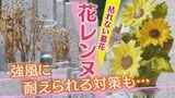 お墓参りを“もっとラクに、もっと美しく”。陶器の花「カレンヌ」が変える供養のカタチ|TBS NEWS DIG