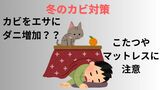 【こたつに要注意!】カビが増えればダニも増える?!撃退には「アイロン」「カイロ」が有効…どう使う?|TBS NEWS DIG