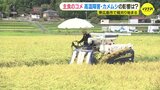 記録的な猛暑 主食のコメへの影響は? 広島・東広島市で稲刈り始まる|TBS NEWS DIG