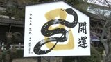 「来年はみなさまにとって、一皮向けた年になりますように」茂本ヒデキチさんの大絵馬を奉納 愛媛県・松山市 | 愛媛のニュース - Nスタえひめ|あいテレビは6チャンネル
