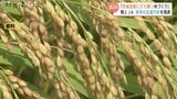 “気候変動に打ち勝つ”コメ作りへ…「富富富」「てんたかく」作付け割合を30%以上に　2026年の生産方針　富山　|　富山のニュース｜天気・防災｜チューリップテレビ
