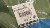 小松菜が一把110円 暖冬で葉物野菜が安い! 数か月後には出荷減で値上げも…難しい農業経営に 富山 | 富山のニュース|天気・防災|チューリップテレビ