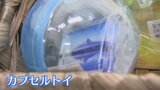 シャインマスカットやほうとうなど 山梨の名所・特産品がカプセルトイに! | 山梨のニュース | UTYテレビ山梨