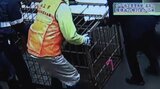 ヒグマとツキノワグマの「指定管理鳥獣」追加を提案 環境省の専門家検討会 人身被害多発で計画的な捕獲による管理を可能に 四国は除く|TBS NEWS DIG
