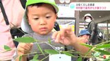 「竹馬が上手になれますように」土佐くろしお鉄道・中村駅で園児が七夕飾りつけ | 高知のニュース・天気|KUTV NEWS | KUTVテレビ高知