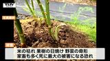 高温・少雨で農作物や家畜に被害 県が緊急会議(山形) | 山形のニュース│TUYテレビユー山形