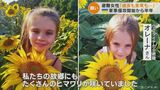 「ウクライナの両親を思い出す…」侵攻から半年 ハルキウから避難した女性は家族でひまわり畑に向かった | 名古屋・愛知・岐阜・三重のニュース【CBC news】 | CBC web