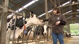 「暑さのストレスで牛乳が出る量が下がる」危険な暑さでモー大変...動物たちへの"夏バテ対策"進む=静岡|TBS NEWS DIG