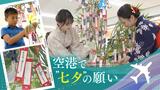 「サッカー選手に!」「じいじと遊びたい」福岡空港の短冊に“たなばた”の願いごと | 福岡のニュース|RKB NEWS|RKB毎日放送