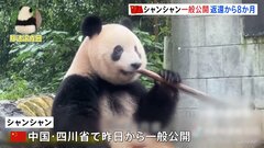 「シャンシャン」の一般公開始まる　返還から約8か月　中国・四川省| TBS CROSS DIG with Bloomberg