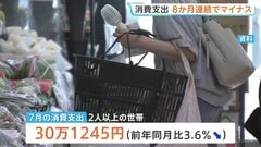 7月の消費支出3.6%減で8か月連続マイナス　節約志向の一方で外食やゲーム課金の消費拡大　総務省家計調査| TBS CROSS DIG with Bloomberg