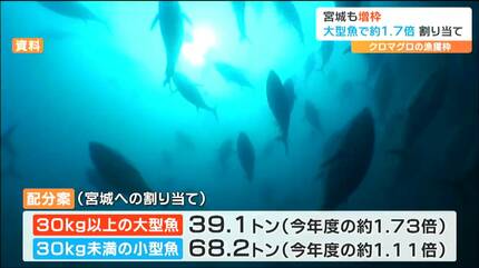漁獲量がちょっと増えても、あんまり値段は前後はしないと思う 