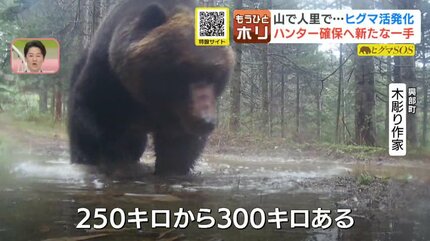 ヒグマSOS】250キロ超の“メタボヒグマ”も出現 北海道で急増するクマ