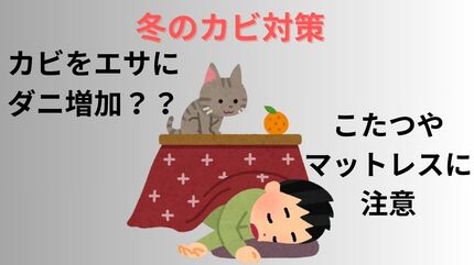 こたつに要注意！】カビが増えればダニも増える？！撃退には「アイロン