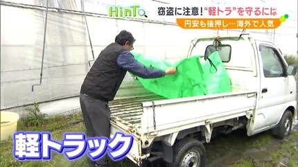 狙われる軽トラック…車検シールは“丈夫で長持ちの象徴” 円安背景に海外