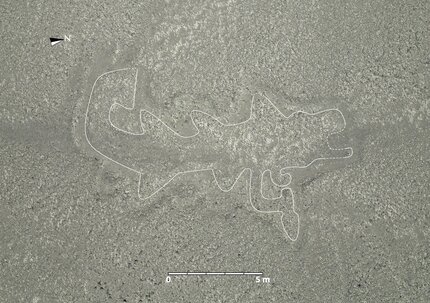 山形大学はナスカの地上絵発見で世界をリード 画像で地上絵をじっくり