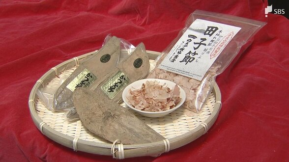 140年続く伝統の田子節と「潮かつお」を未来へ！反対乗り越えグランプリ獲得の5代目の挑戦＝静岡・西伊豆町　|　静岡のニュース | SBSNEWS | 静岡放送