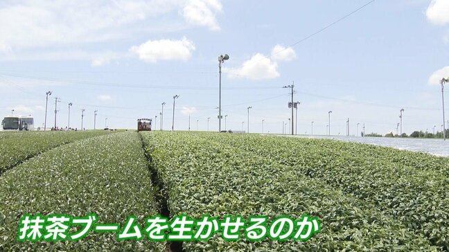 「煎茶よりてん茶」「炉が足りない」 世界的な抹茶ブームで全国有数の茶の産地にも変化|TBS NEWS DIG
