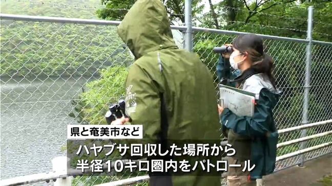 鳥インフル初確認の奄美大島　県と奄美市が養鶏農家を合同パトロール　鹿児島|TBS NEWS DIG