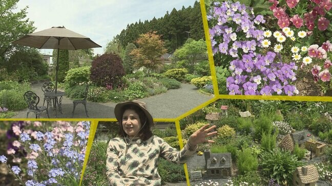 庭の植物は100種類以上 花や緑で彩られた個性あふれるオープンガーデン 岩手・奥州市|TBS NEWS DIG
