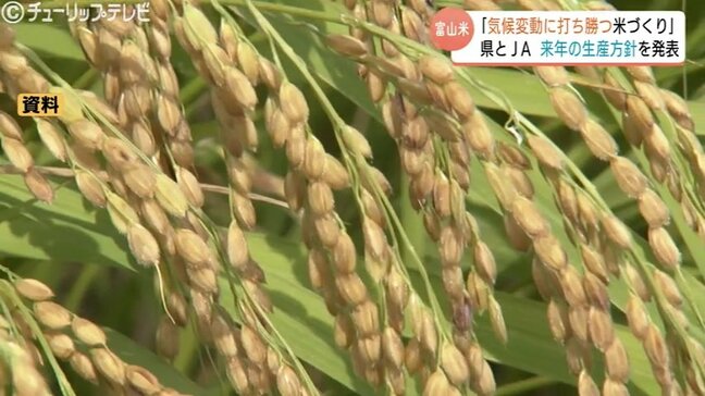 “気候変動に打ち勝つ”コメ作りへ…「富富富」「てんたかく」作付け割合を30%以上に　2026年の生産方針　富山|TBS NEWS DIG