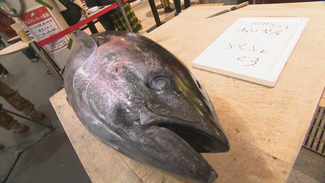 マグロ解体に巻きずし… 被災地を買って食べて応援 金沢で能登復興支援のチャリティー販売に行列|TBS NEWS DIG
