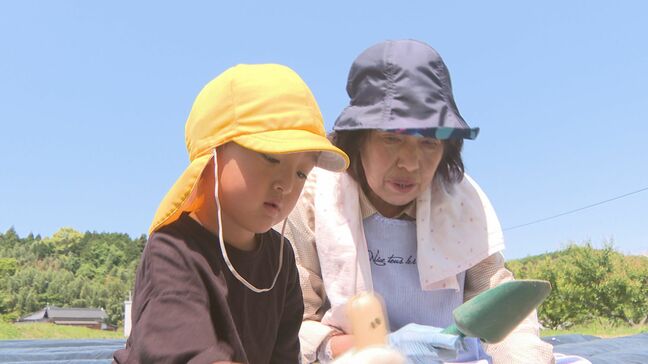 「おっきいイモになって」園児がさつまいもの植え付け体験|TBS NEWS DIG