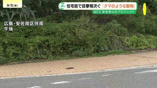 「イノシシやアナグマじゃない」住宅街に“クマのような動物”　目撃情報相次ぐ　１m超の動物目撃の男性は　広島市安佐南区|TBS NEWS DIG