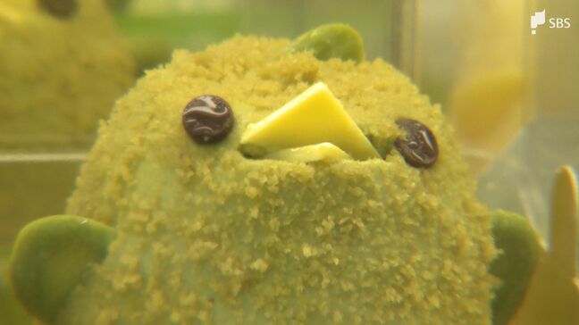「緑茶ぴよりん」JR東海道線の島田駅で限定販売 市制20周年を記念してコラボ 名古屋などでも販売へ=静岡・島田市|TBS NEWS DIG