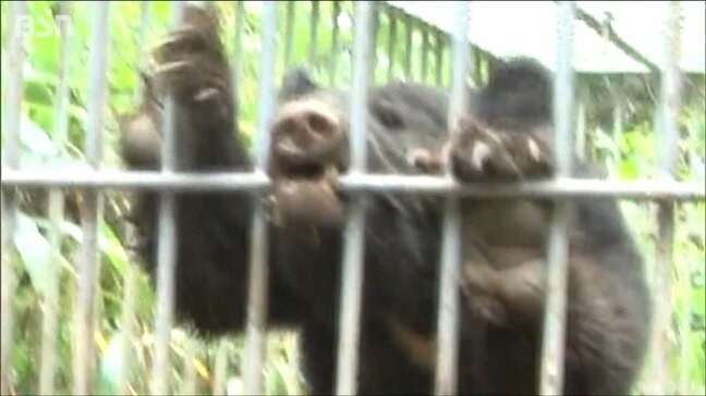 「今年は怖くて山登りできない」連日の人身被害で日常生活や観光への影響続く『クマ出没特別警報』継続し厳重警戒を呼びかけ　新潟県内|TBS NEWS DIG