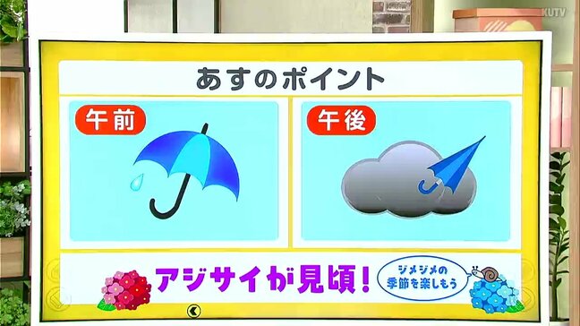 高知の天気 13日 日中は雨落ち着く 気温は平年並み 山岸拓気象予報士が解説|TBS NEWS DIG