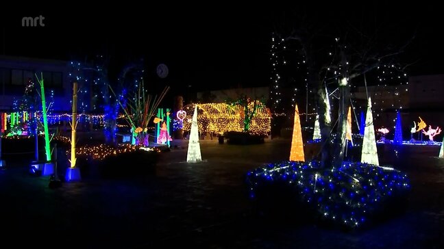 えびの市で5万球のイルミネーション|TBS NEWS DIG