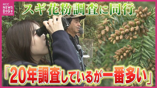 来年春の花粉症はかなりキツそう 西日本は “大量飛散”予想「過去10年で最多に匹敵」のおそれ 実際にスギ林に見に行くと…国のスギ林調査に同行 |TBS NEWS DIG