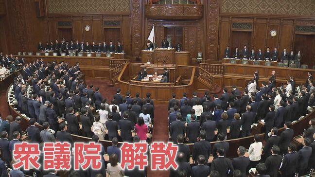 衆議院解散　議員バッジ外した前職はさっそく地元へ　投開票まで16日間 “戦後最短” の決戦【熊本選挙区の立候補予定者一覧】|TBS NEWS DIG