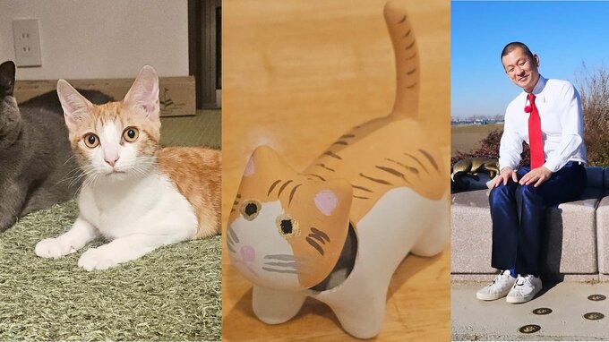 【ねこ】「Ｕ字工事」益子卓郎さん「『ねこべこ』が届きました！」末っ子 “なかちゃん” がモデル　フォロワー「かわいい」が渋滞|TBS NEWS DIG