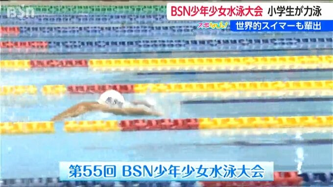 新潟の小学生スイマー ナンバーワンが決定！BSN少年少女水泳大会|TBS NEWS DIG