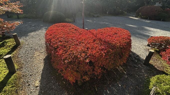 秋深まり紅葉はこれからが本番！ 「映える」ハートの紅葉も 石川県の“人気スポット”をリサーチ　|　石川県のニュース｜MRO北陸放送