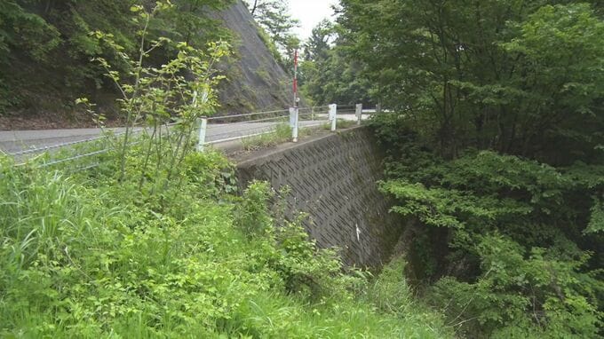 「人が仰向けに倒れていてカラスがたかっている」山奥の国道脇に遺体　身長約168センチの男性、くつなど履いておらず　身長などの特徴が一致する行方不明者の届け出なし…いまだ身元不明|TBS NEWS DIG
