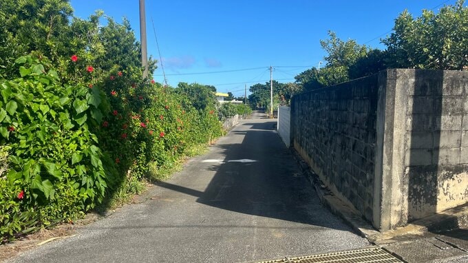 ひき逃げか 路上で流血、足を骨折し倒れていた74歳女性が死亡　宮古島市伊良部|TBS NEWS DIG