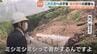 「ミシミシミシって音が…」介護施設に続く唯一の道路　復旧費用の補助に“私道”の壁　記録的大雨の土砂崩れで一時通れず 富山・氷見市　|　富山のニュース｜天気・防災｜チューリップテレビ