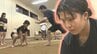 「将来は女子相撲界を背負って立つ」高い志で10月の全日本選手権に挑む女子相撲・竹田心幸選手（渋民道場）　岩手　|　IBC NEWS | IBC岩手放送