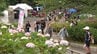 若松区の高塔山公園で「あじさい祭り」約７万４９００株　植樹で数は３倍に　|　福岡のニュース｜RKB NEWS｜RKB毎日放送