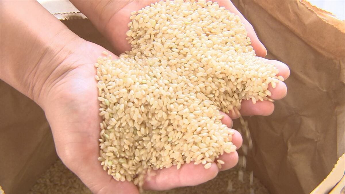 「在庫が豊富」　新米価格の目安となるJAの仮渡金　コシヒカリなど4割以上下がる　一方、鈴木農水大臣は備蓄米の買い戻しを明らかに　山梨