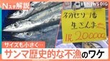 【サンマがピンチ】「今年はダメかも…」店長苦悩、1匹の価格予想は400円~500円 不漁のワケ【Nスタ解説】|TBS NEWS DIG